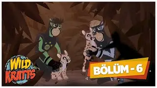 Kratt Kardeşler | 3. Sezon 6. Bölüm | Çizgi Film
