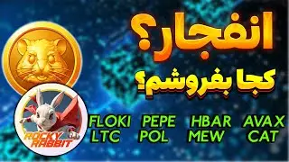 ❌انفجار راکی ربیت❌حرکت بعدی همستر؟| فلوکی | پپه | اچ بار |آواکس