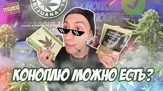 СЕМЕЧКИ КОНОПЛИ И МАКАРОНЫ ИЗ КАНАБИСА (ft. LAPSHITSARIUM)