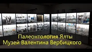 Палеонтологический музей в Ялте. Виртуальная экскурсия
