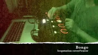 WAVER - Bongo // Loopstation cover
