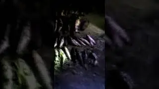 В Молочном лимане браконьеры ловили рыбу