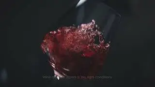 The Vintec 5 pillars of wine storage