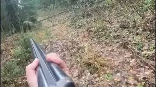 Не ожиданаая встреча с хозяином тайги 😮