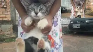 Gatin - Sparta NO BGM