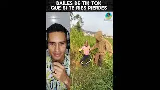 Los mejores bailes de TIK TOK  verás el día de hoy 🤣 #Viralbailes #Tiktok
