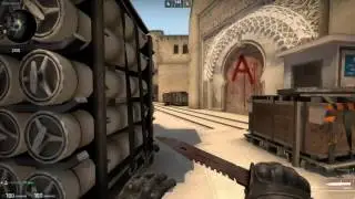 SICK USP ACE | CS:GO