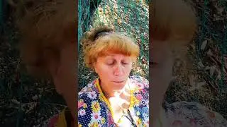 семейные ценности