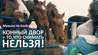 Конный двор и то, что нельзя снимать. Музыка на колесах