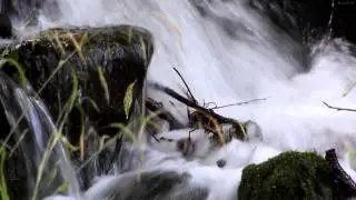 РУЧЕЙ - Звук водопада - STREAM - The sound of the waterfall