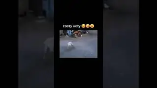 свету нету