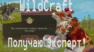 WildCraft - ПОЛУЧАЮ ЭКСПЕРТ! ЭФИР!🤗🌿❤️(Ч.О)