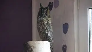 When you come home and the owl turns on ninja mode.