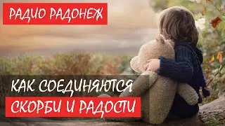 Как соединяются в христианстве скорби и радости | Сергей Комаров | Радонеж
