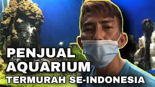 TOKO AQUARIUM TER-MURAH | Eps Terbaru