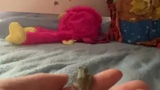 Frog jumps in slow motion