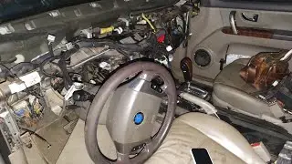 Очерной шишкодень. Рутинные дела..