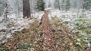 Вот вам природа! И такое бывает!!!