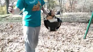 Olly Swings