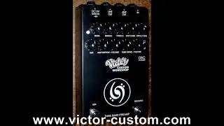 VICTOR CUSTOM DBC TUBE BASS PREAMP DIST CHANNEL