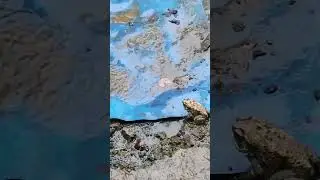 Cool and relaxing rain in tamilnadu today 18/oct/2025