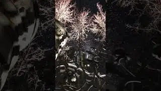 ❄️