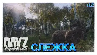 №12 DayZ НЕУДЕРЖИМЫЕ - СЛЕЖКА (осень, патч 1.09)