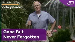 Rest In Strawberries | VICTORY GARDEN