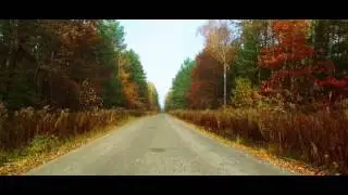 The SLOE - Осенний тур - Набирая скорость