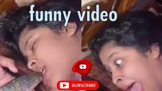 অস্থির বিনোদনে ভরপুর।funny video