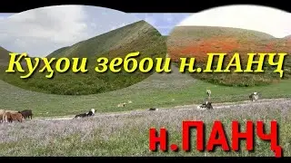 КУҲОИ ЗЕБОИ н.ПАНҶ
