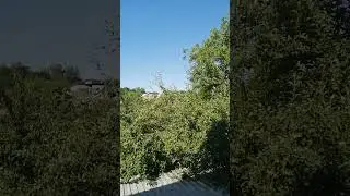 вселенная, Бог и битва с патогенами....