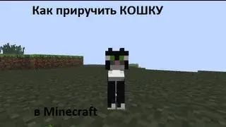Как приучить кошку в Minecraft