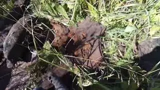 Чутка покопал,результат на твердую двоечку