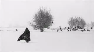 Emiliano Secchi - The ritual