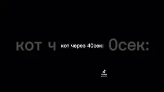Кот бомба честно говоря
