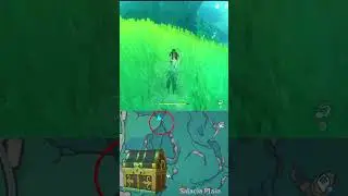 Precious Chest in Salacia Plain  