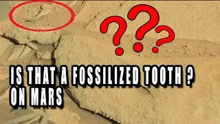Fossilized Tooth Spotted By Curiosity Rover On Mars