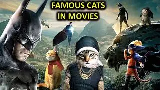 The Most Memorable Cat Scenes in Movies