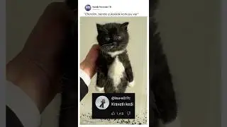 Efendim, bende yükseklik korkusu var 😂