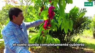Jardín Botánico del CATIE