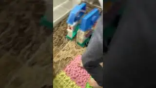 Мои уроки . Фрагмент с неговорящим ребенком