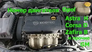 Где номер двигателя OPEL Astra H/ Zafira B и прочие GM