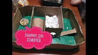 Лабиринт для хомяка. The maze for the hamster.