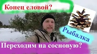 Работа та же, а шишка другая!!!!:) Рыбалка и конец елового сезона:(