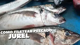 como filetear un pescado JUREL 