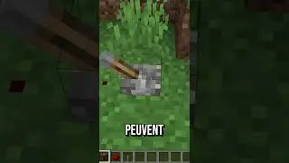 Du RayTracing en Redstone ?