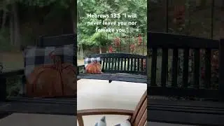 Fall Back Porch Bible Study - Hebrews 13:5 #jesusisking