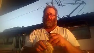 Dead Lighter Challenge