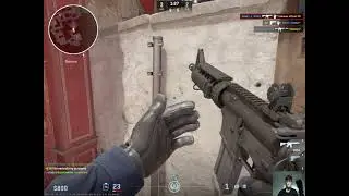 CS2 w/ friends - No Bullshits, Only Pure Enjoyment!